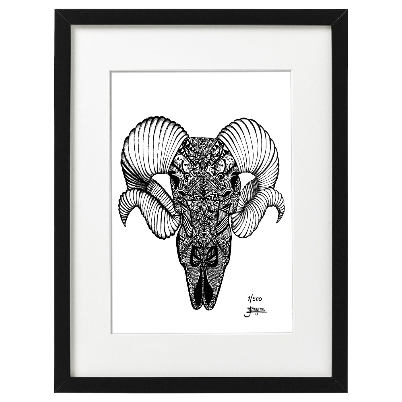 Hand drawn fine art print by uk artist and illustrator Jenniemyma. Black and white ink on paper, originally hand drawn using pen and pencil on paper. Aries the ram astrology and zodiac art motivational and inspiring wall art, limited edition and open editions available, hand signed and numbered depending on size of print.