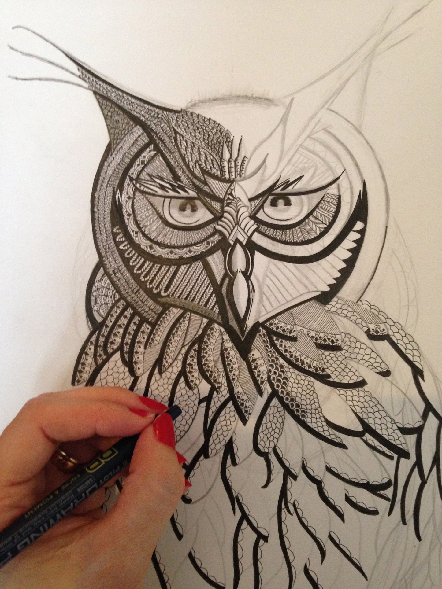 TWYLA The Owl Fine Art Prints